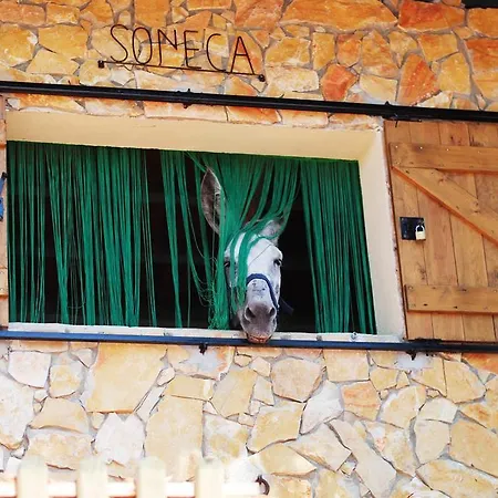 Country house Quintinha Da Eira *